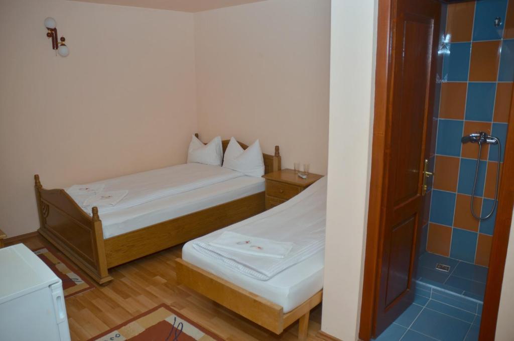 Pensiunea La Palaguta Baia Mare Habitación foto